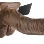 Chocolate Brown Hollow Strapon With Vibration and Balls 10